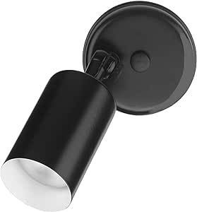 NICOR Lighting 50W Black Single Cylinder Adjustable Security Flood Light (11511)
